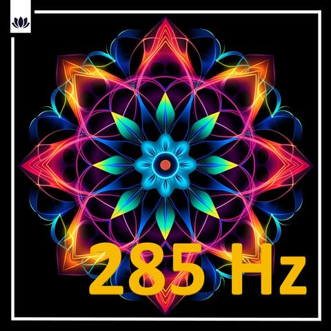 Nocturnal Reverie: Songs of Peace with Crickets