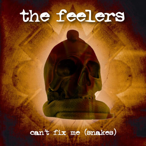 Can't Fix Me - Snakes