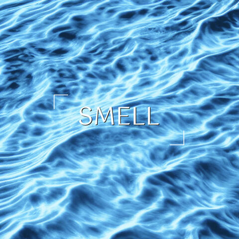 Smell of