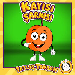 Kayısı Şarkısı