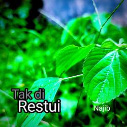 Tak Di Restui