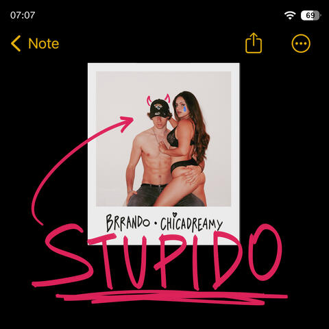 stupido