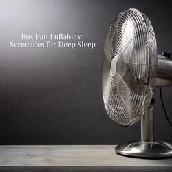 Tranquil Whispers: Box Fan's Soothing Repertoire