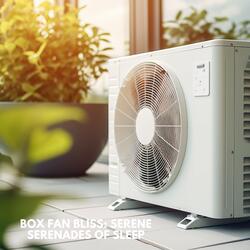 Box Fan Reverie: Tranquil Melodies for Slumber