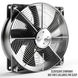 Sleepscape Symphony: Box Fan's Lullabies for Sleep