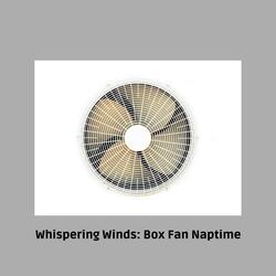 Whispering Winds: Box Fan Naptime
