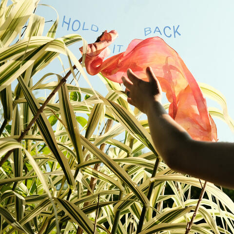 Hold It Back (the Overflow)