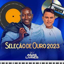Pra Desbotar a Saudade