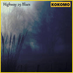 Highway 29 Blues