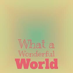 What a Wonderful World