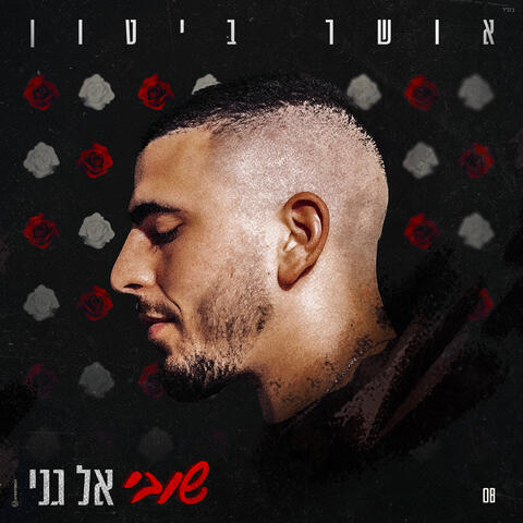 שובי אל גני