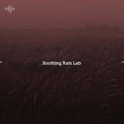 Soothing Rain Ensemble