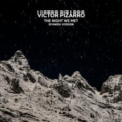 The Night We Met
