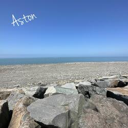Antidote