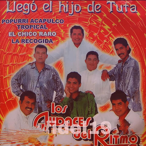 Llego El Hijo De Tuta