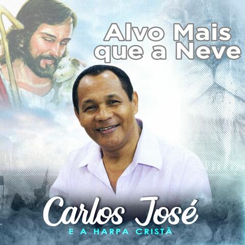 Alvo Mais Que a Neve