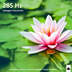 285 Hz Blissful Stillness