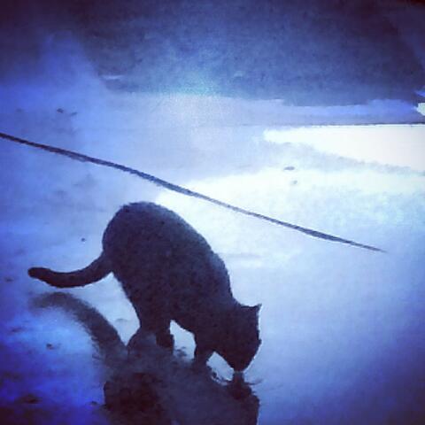 I Wish I Had an Instagram