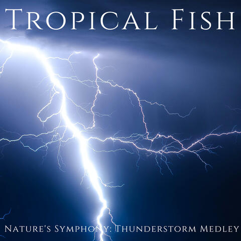 Nature's Symphony: Thunderstorm Medley