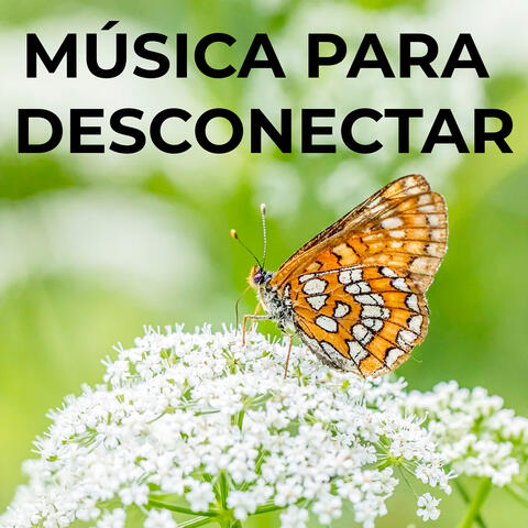 Música Para Desconectar