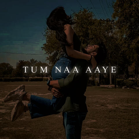 Tum Naa Aaye