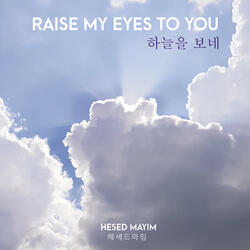 Raise my eyes to You