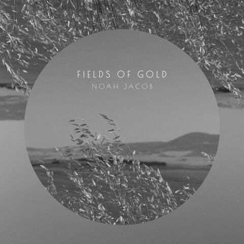 Fields Of Gold