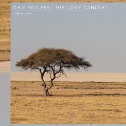 Can You Feel The Love Tonight