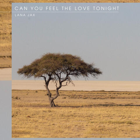 Can You Feel The Love Tonight