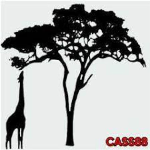 SAFARI