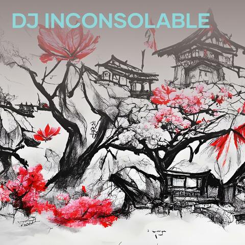 Dj Inconsolable