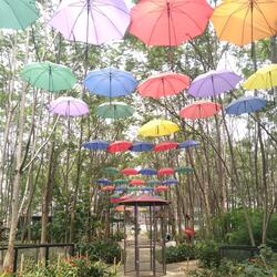 Ikhlas Tanpa Melupakan