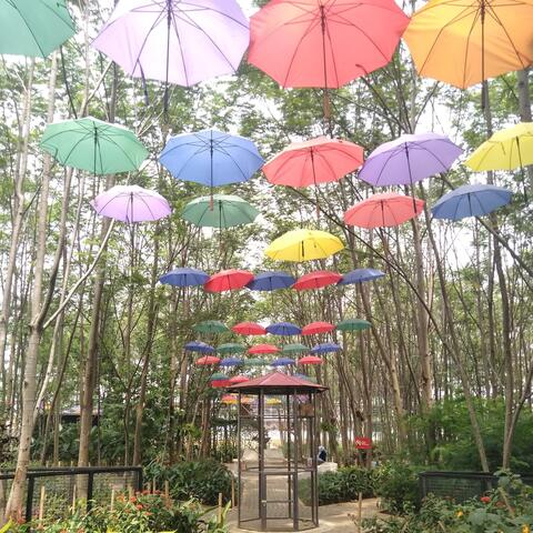 Ikhlas Tanpa Melupakan