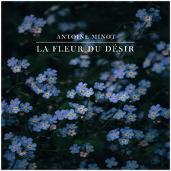 la Fleur du Désir
