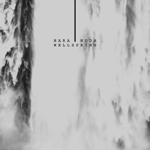 Wellspring