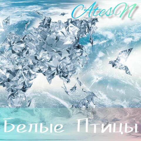 Белые Птицы