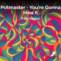 You're Gonna Miss It (Instrumental Version)