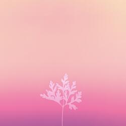 Beyond the Horizons