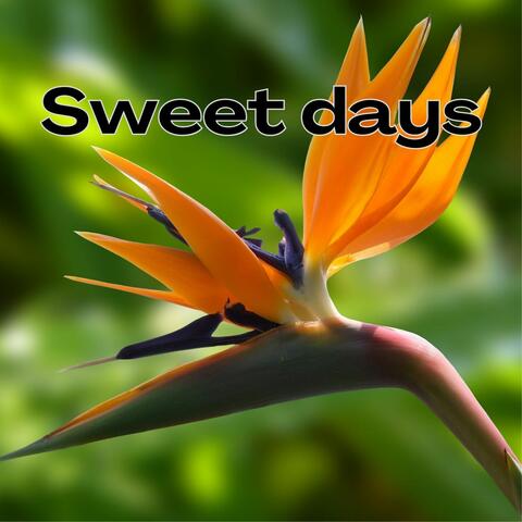 Sweet Days
