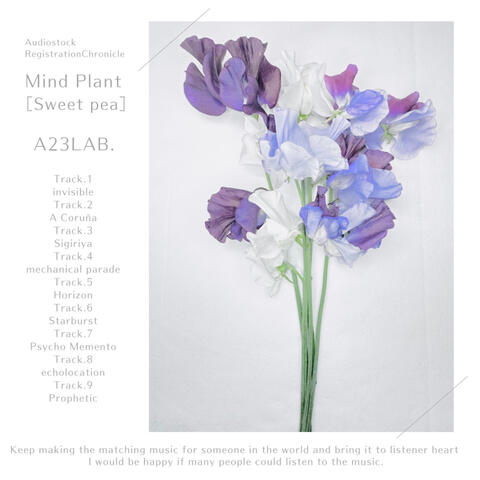 Mind Plant［Sweet Pea］
