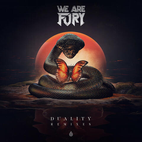 DUALITY