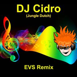 Dj Cidro (Jungle Dutch)