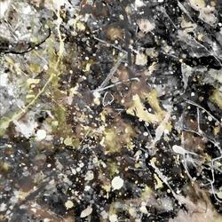 Сука Любовь