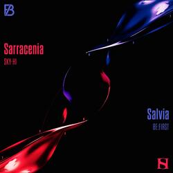 Salvia