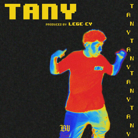 Tany