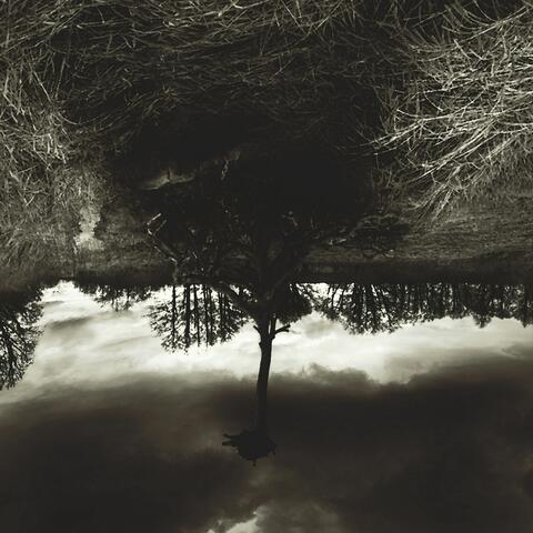 Celestial Backwater