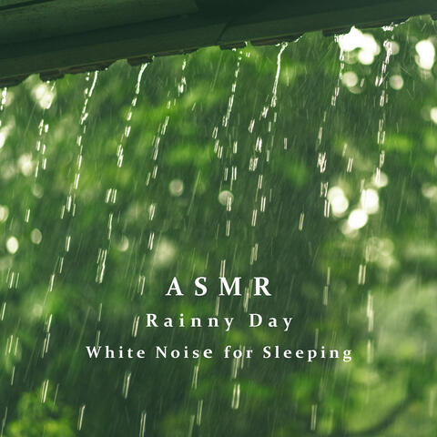 ASMR Rainny Day White Noise for Sleeping