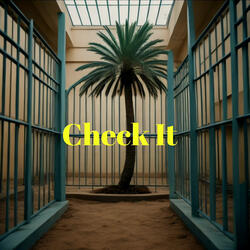 Check It