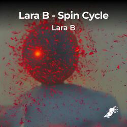 Spin Cycle