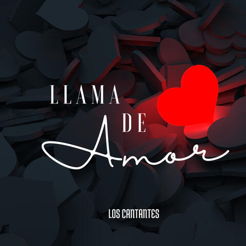 Llama de Amor